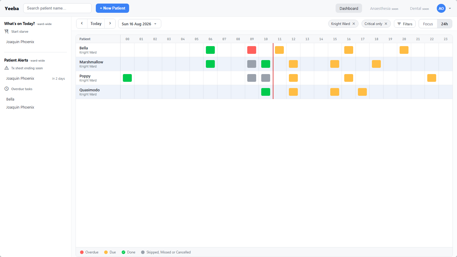 Yeeba Dashboard in 24H view with illustrative patients across the clinical day.