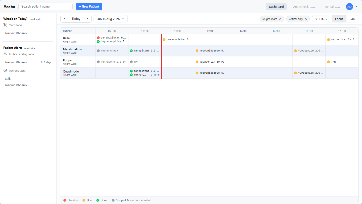 Yeeba Dashboard in Focus view with illustrative patients and care items around the current hour.