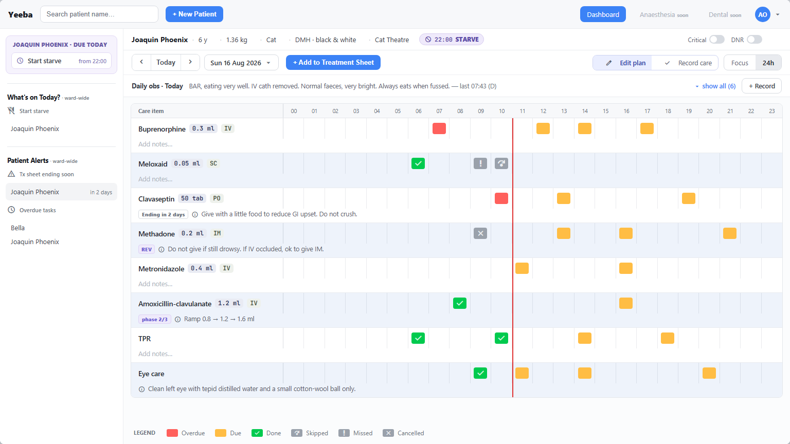 Yeeba Treatment Sheet in 24H view with illustrative care items across a clinical day.